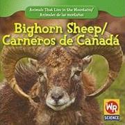 Bighorn Sheep/Carneros de Canada