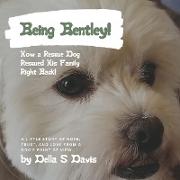 Being Bentley!: How a Rescue Dog Rescued His Family Right Back! A little story of hope, trust, and love from a dog's point of view