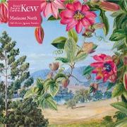 Adult Jigsaw Puzzle Kew: Marianne North: View in the Brisbane Botanic Garden (500 Pieces): 500-Piece Jigsaw Puzzles