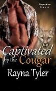 Captivated by the Cougar: Shapeshifter Romance