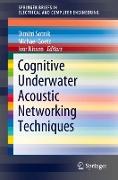 Cognitive Underwater Acoustic Networking Techniques