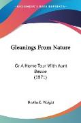 Gleanings From Nature