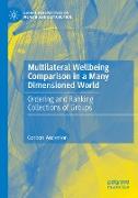 Multilateral Wellbeing Comparison in a Many Dimensioned World