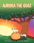 Aurora the Goat