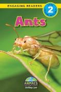 Ants