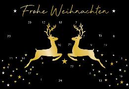 DK Adventskalender 21-4748