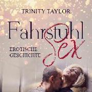FahrstuhlSex | Erotik Audio Story | Erotisches Hörbuch Audio CD