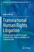 Transnational Human Rights Litigation