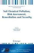 Soil Chemical Pollution, Risk Assessment, Remediation and Security