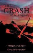 The Crash of the Dragonfly: Unbelievable Trials Lead to Unimaginable Blessings