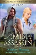 Amish Assassin: (Amish Romantic Suspense, standalone novel)