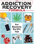 The Addiction/Recovery Formula