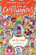 The Kids of Cattywampus Street