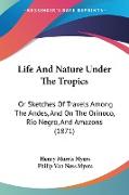 Life And Nature Under The Tropics