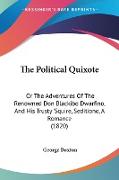 The Political Quixote