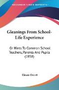 Gleanings From School-Life Experience