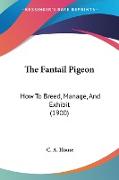 The Fantail Pigeon