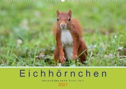 Eichhörnchen - Kleine Kobolde im Roten Pelz (Wandkalender 2021 DIN A2 quer)