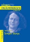 Ingo Schulze: Simple Storys