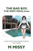The Bad Boy, the Sissy Maid, Three