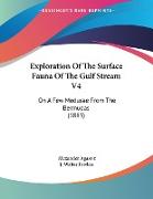Exploration Of The Surface Fauna Of The Gulf Stream V4