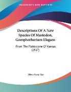 Descriptions Of A New Species Of Mastodon, Gomphotherium Elegans