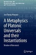 A Metaphysics of Platonic Universals and their Instantiations