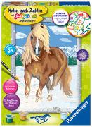 Ravensburger Malen nach Zahlen 28780 - Haflinger im Schnee – Kinder ab 9 Jahren