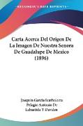 Carta Acerca Del Origen De La Imagen De Nuestra Senora De Guadalupe De Mexico (1896)