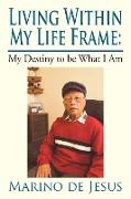 Living Within My Life Frame