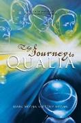The Journey to Qualia
