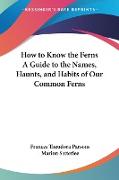 How to Know the Ferns A Guide to the Names, Haunts, and Habits of Our Common Ferns