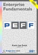 Enterprise Fundamentals - A Pragmatic Approach Using PEFF