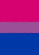 Bisexual Pride Flag Sketchbook