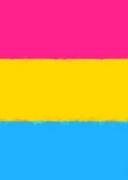 Pansexual Pride Flag Sketchbook