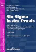 Six Sigma in der Praxis