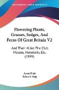 Flowering Plants, Grasses, Sedges, And Ferns Of Great Britain V2