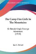 The Camp Fire Girls In The Mountains