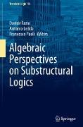 Algebraic Perspectives on Substructural Logics