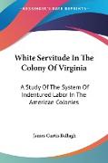 White Servitude In The Colony Of Virginia