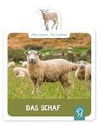 Mein kleines Tier-Lexikon - Das Schaf