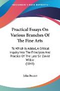 Practical Essays On Various Branches Of The Fine Arts