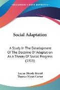 Social Adaptation