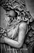 Awakening: Book 2 of the Keeping Shiloh Series