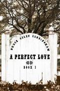 A Perfect Love: Book One