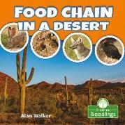 Food Chain in a Desert