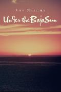 Under the Baja Sun