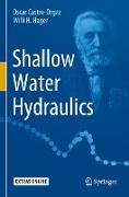 Shallow Water Hydraulics