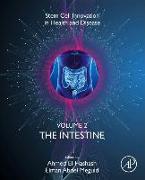 The Intestine