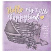 Hello My Little Poppy Seed: An Expectant Mother's Love Poem